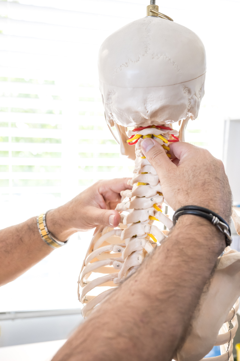 noosa life chiropractic